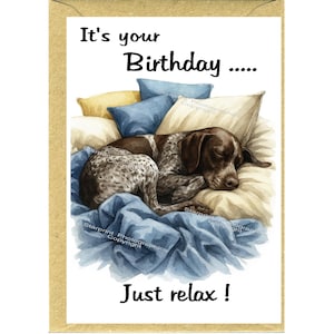 Pode incluir: Cartão de aniversário com uma ilustração de um cão a dormir em almofadas e uma manta azul. O texto diz "It's your Birthday..... Just relax!" num fundo branco, com uma borda castanha.