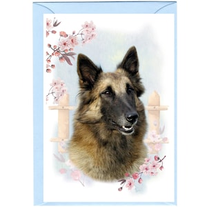Tarjeta en blanco/nota de perro pastor belga (Tervueren) (6" x 4") con sobre - Ideal para cualquier ocasión. Artículo perfecto para cualquier amante de los perros.