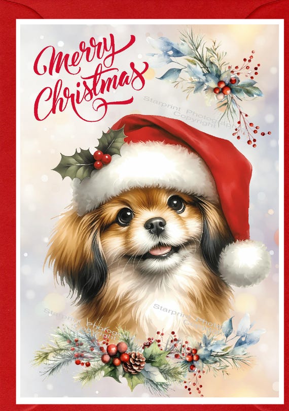 Tibetan Spaniel Dog Christmas Card (6" X 4") Blank Inside - With Envelope. Perfect Item For Any Dog Lover - View #5