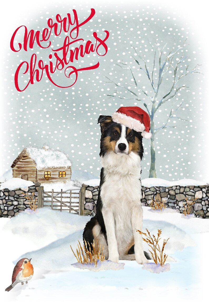 Border Collie Dog (tri Colour) Christmas Card (6" X 4") Blank Inside ...