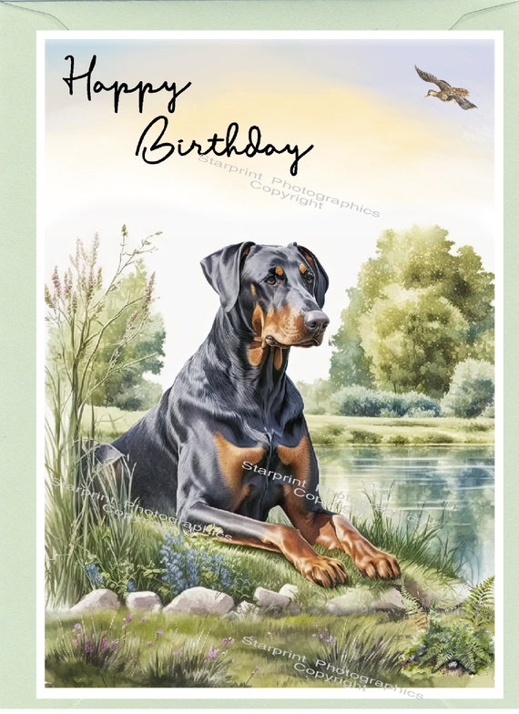 Doberman Umbrella 2 Doberman Umbrella 2