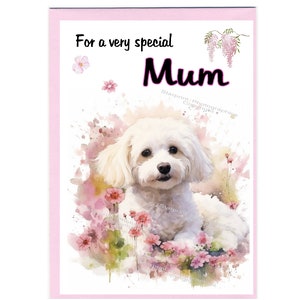 Bichon Frise Blanko Karte für Mama ( 6 "x 4 ") mit Umschlag - Ideal für Muttertag, Geburtstag, etc.