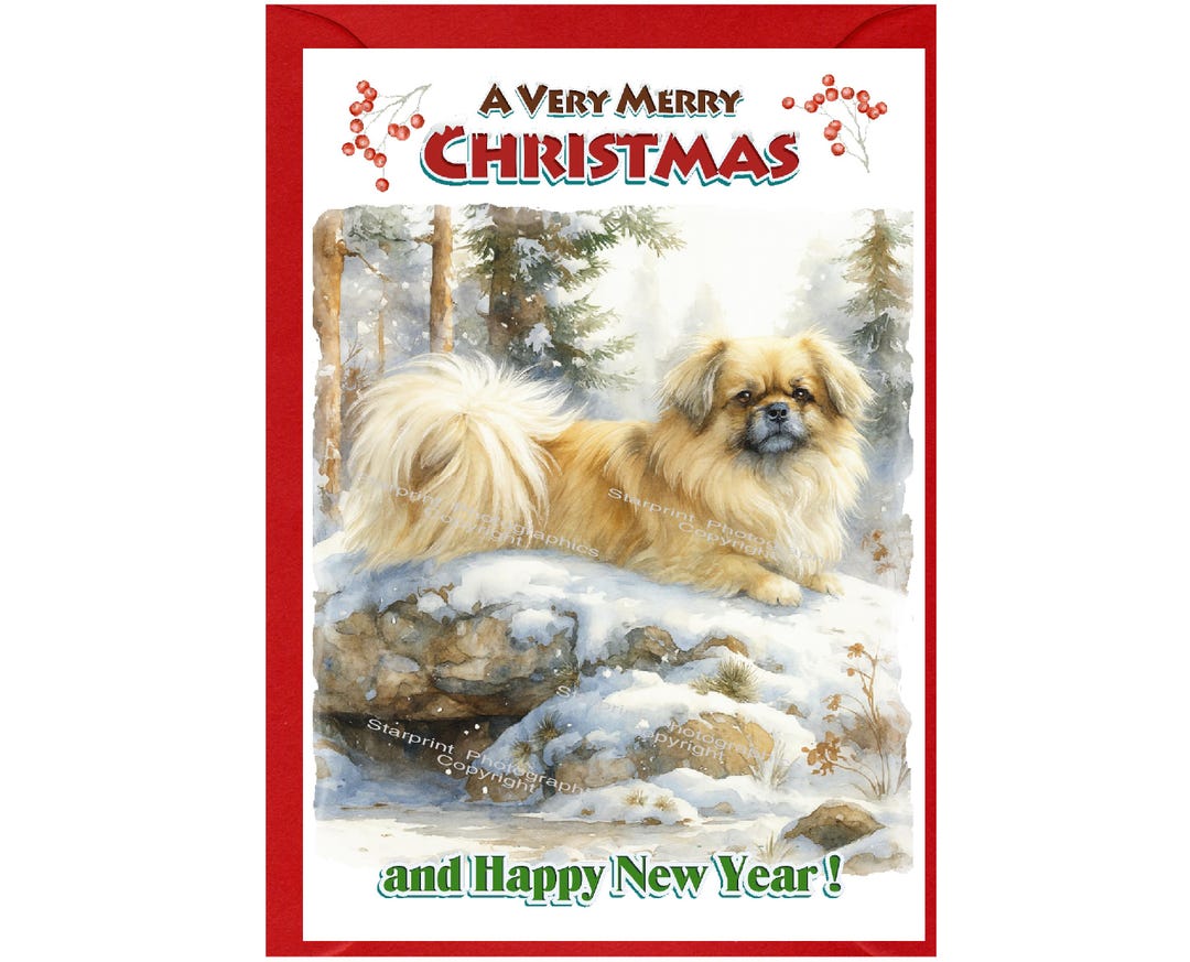 Tibetan Spaniel Dog Christmas Card (6" X 4") Blank Inside - With ...