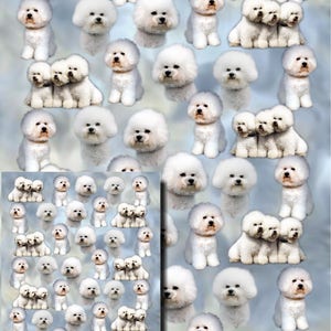 Bichon Frise Gift Wrapping Paper with matching Gift Card