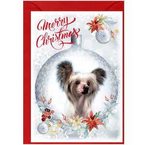 Cartão de Natal do cão com crista chinês (6" x 4") em branco dentro - com envelope. Item perfeito para qualquer amante de cães