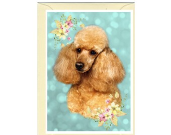 Poodle (Apricot) Dog Blank Card /Notelet (6" x 4") with Envelope - Ideal for any occasion.  Perfect item for any Dog Lover
