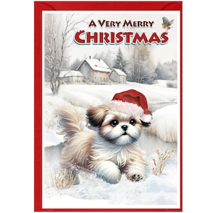 Carte de Noël Shih Tzu Dog (6 x 4 po.) vierge à l'intérieur - avec enveloppe. Article parfait pour tous les amoureux des chiens