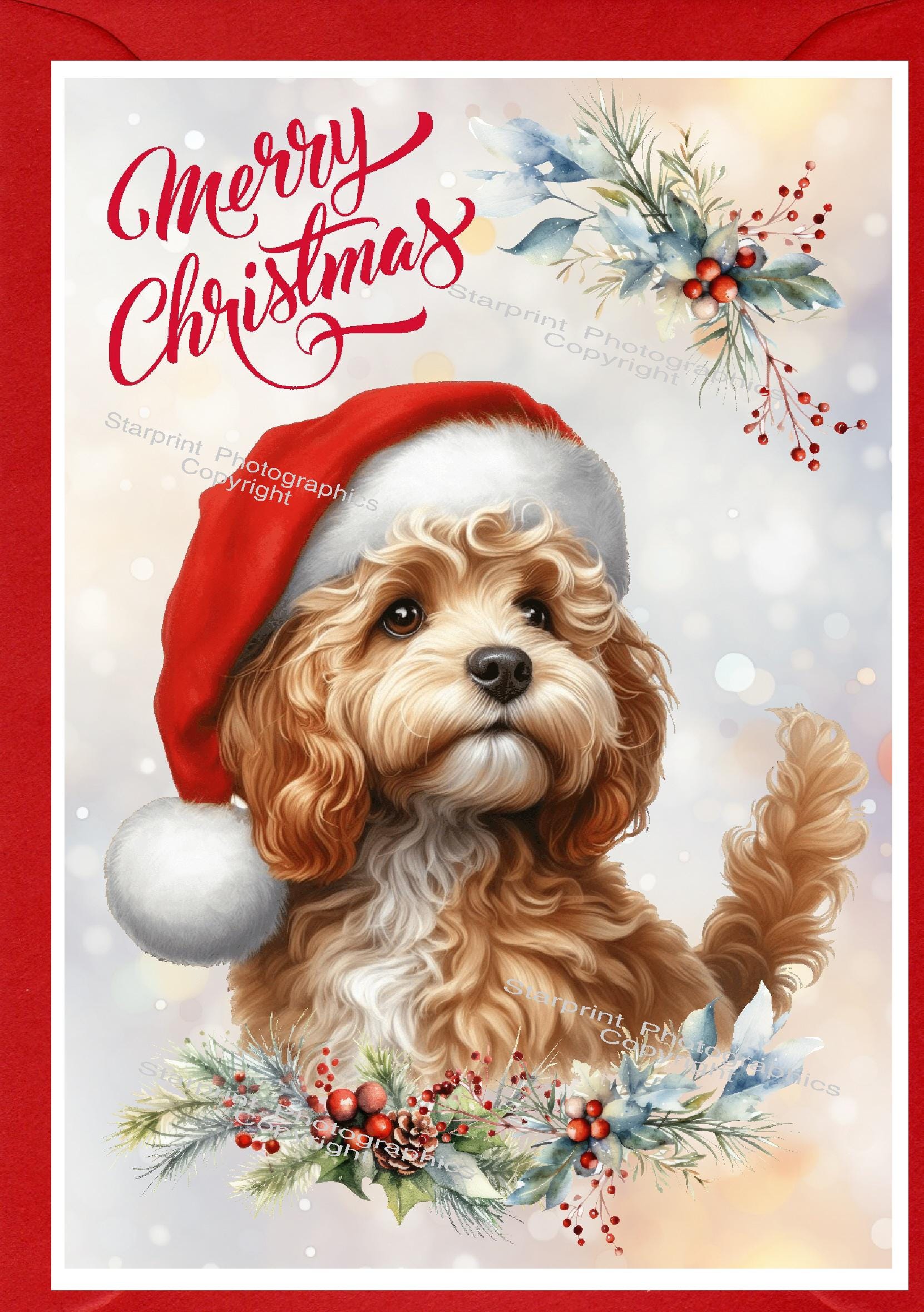 Doodle / Cavapoo Dog Christmas Card (6" X 4") Blank Inside - With ...