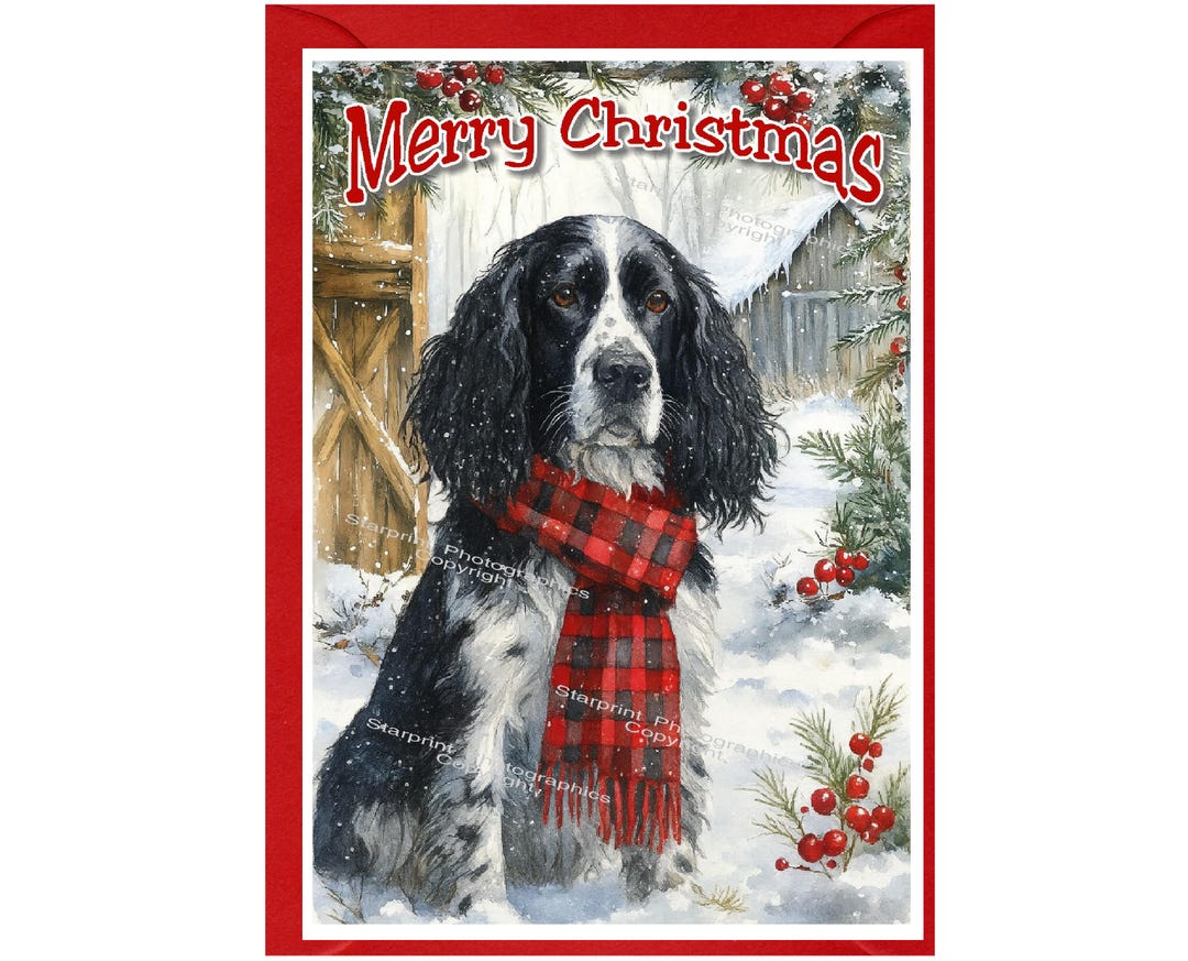 English Springer Spaniel Dog Christmas Card (6" X 4") Blank Inside ...