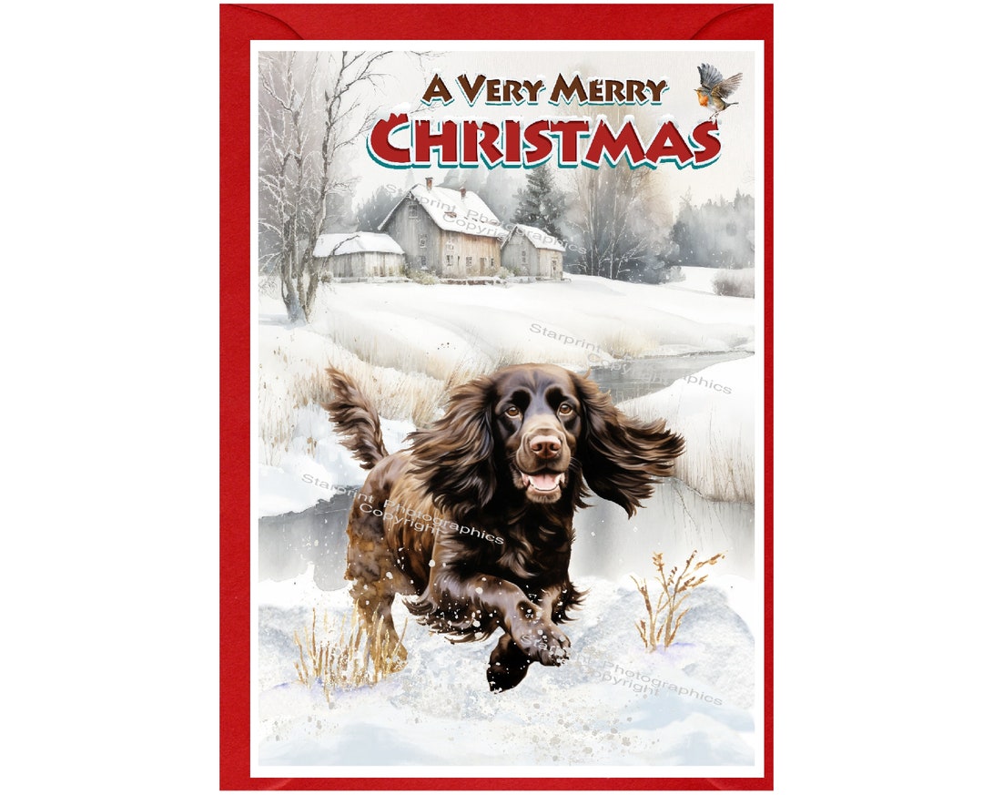 Cocker Spaniel Working Brown Dog Christmas Card (6" X 4") Blank Inside ...