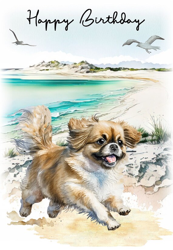 Tibetan Spaniel Umbrella 2 Tibetan Spaniel Umbrella 2