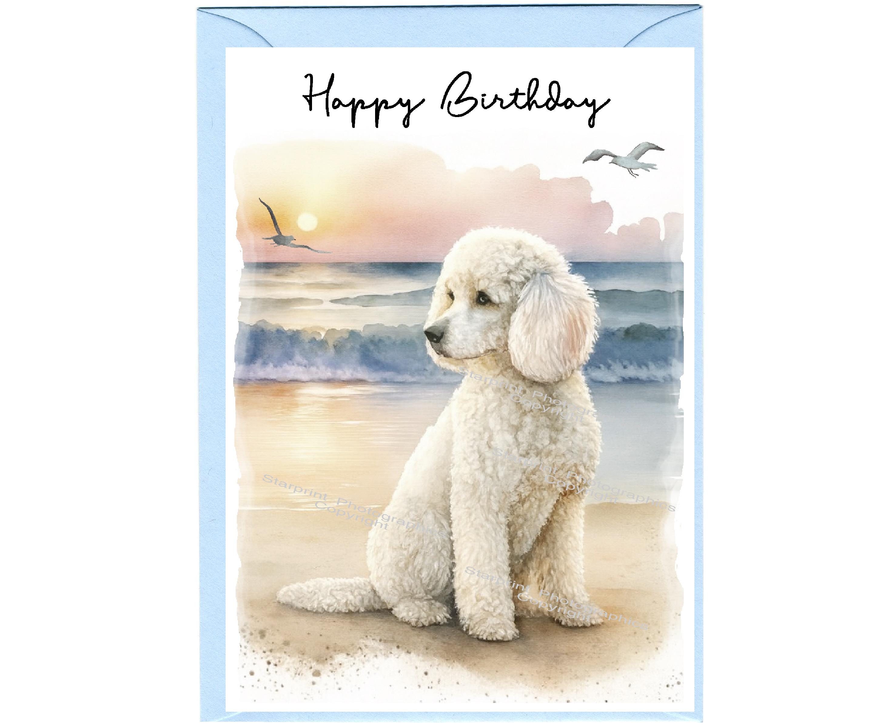 Carta di compleanno barboncino - Italia