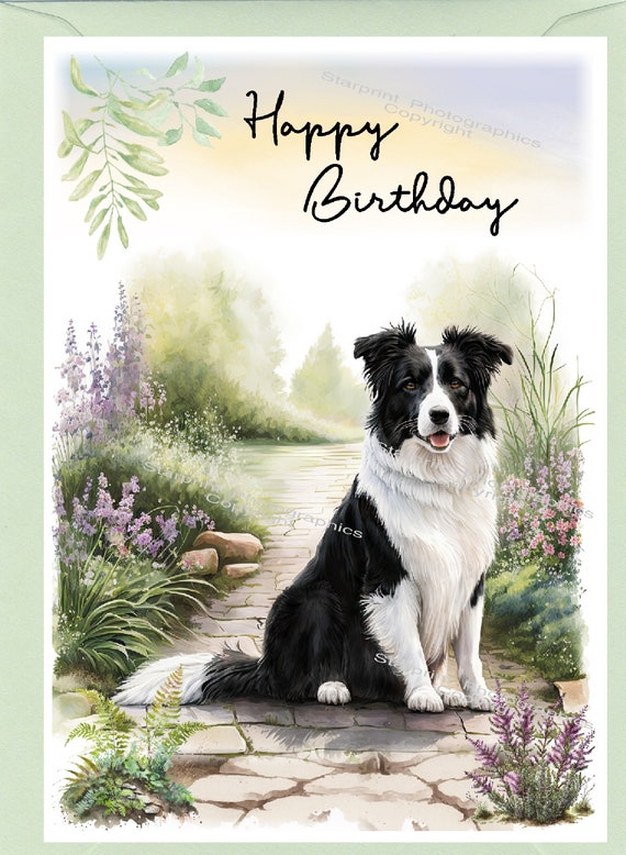 Artery8 Corgi And Collie Dog Portrait For Him Or Her Man Woman Birthday