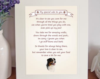 Thank You FROM THE DOG 8 x 10 Picture//10x8 Print Fun Gift Brown Bearded Collie