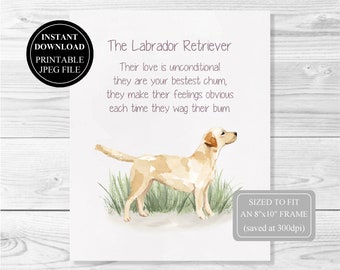 Thank You FROM THE DOG 8 x 10 Picture//10x8 Print Novelty Gift Labrador Yellow