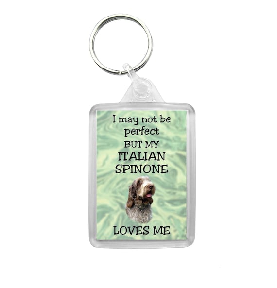 Ideal Present//Gift I/'m Happily Owned By A Labradoodle Novelty Keyring