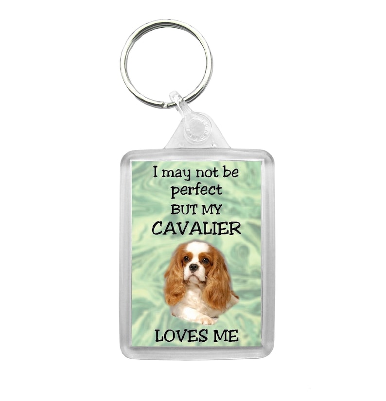 Cocker Spaniel Key Ring By Starprint No 2
