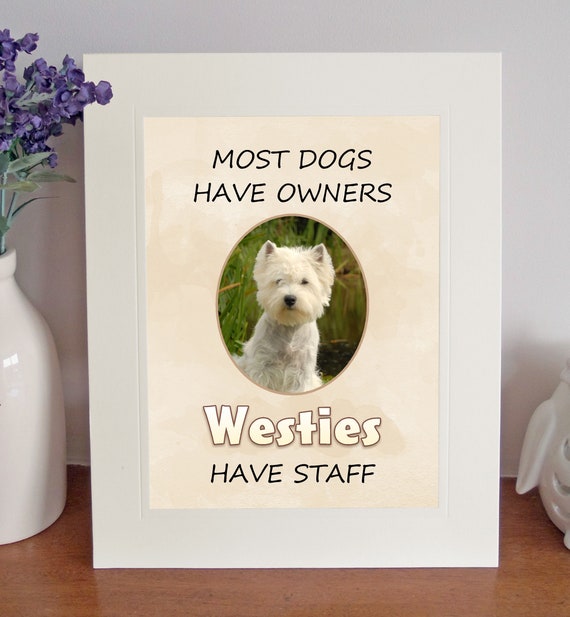 Starprint WEST HIGHLAND WHITE Show Off Dog Sticker