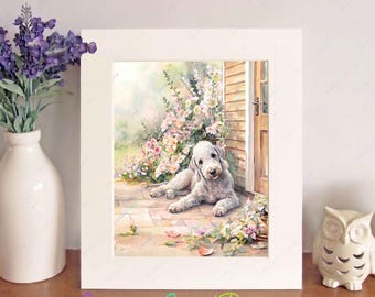 Bedlington Terrier Watercolour Print in a Free-Standing 10" x 8" Picture Mount, Dog Wall Art, Birthday/Christmas/New Home Gift, Home Decor