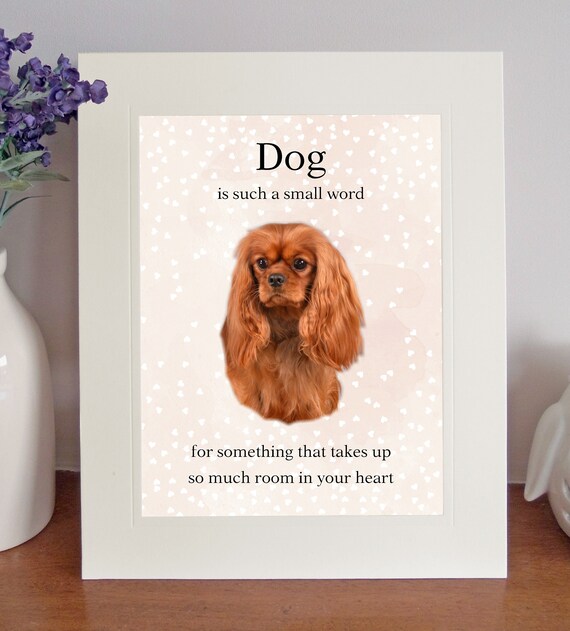 Cavalier King Charles Spaniel Ruby Dog Is Such A Small Etsy