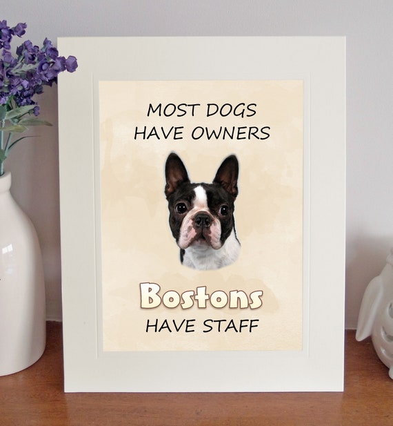 boston terrier novelty items
