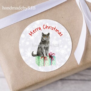 Stickers de Noël chat British Shorthair (bleu), 48 étiquettes rondes (2 feuilles A4, 24 par feuille), pour sacs de fête/cartes/cadeaux