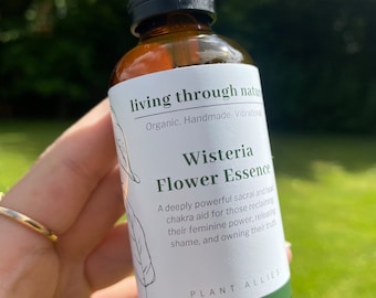 Wisteria Flower Essence | Sacral & Heart Centre Aid