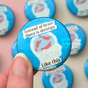 Puede incluir: Un conjunto de botones redondos azules con un diseño humorístico. Cada botón presenta una silueta blanca de una cabeza con gambas rojas en su interior, y el texto "Instead of brain there is shrimps". También incluye el texto "Like this".