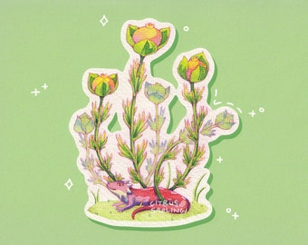 Unique Animal Plant Painting Beetle /& Thistle Botanical Postcard A6 Illustrated Small Vintage Art Print 320gsm Snail Mail Card