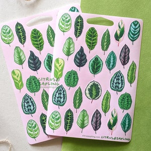 Aquarell Calathea Blatt Aufkleber Bogen Wasserdichtes Vinyl oder Recyclingpapier | Planer Journal Scrapbook Aufkleber Gebet Pflanzenblätter