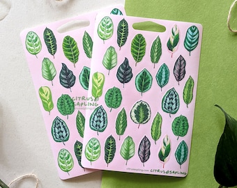 Watercolour Calathea Leaf Sticker Sheet Waterproof Vinyl or Recycled Paper | Planner Journal Scrapbook Stickers Prayer Plant Leaves