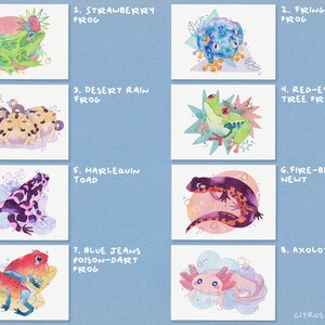 May include: A collection of eight watercolor illustrations of different amphibians and reptiles, including a strawberry frog, a fringed leaf frog, a desert rain frog, a red-eyed tree frog, a harlequin toad, a fire-bellied newt, a blue jeans poison-dart frog, and an axolotl. Each illustration is set against a colorful background and features unique details.