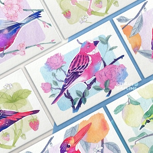 Exotische Garten Vögel Postkarten A6 Illustrierte Kleine Kunstdrucke Set | Niedliche Pen Pal Karten