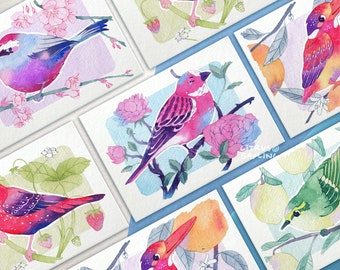 Exotic Garden Birds Postcards A6 Illustrated Small Art Prints Set | Cute Pen Pal Cards
