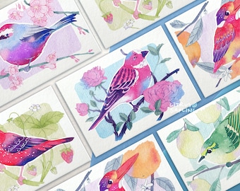May include: A set of 10 watercolor paintings featuring colorful birds perched on branches with flowers and fruit. The birds are painted in shades of pink, red, blue, green, and yellow. The flowers are pink and white, and the fruit is orange and yellow.