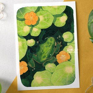 Oost-Indische kers Art Print A4 of A5 geïllustreerde poster | Zomer amfibie bloemen aquarel schilderij