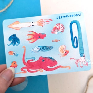 May include: A light blue card featuring various colorful cephalopod illustrations, including a squid, octopus, and nautilus. The word "CEPHALOPODS!" is written at the top. The card is held by a person.