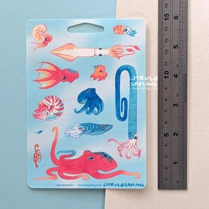 May include: A light blue sticker sheet featuring colorful illustrations of various cephalopods, including octopuses, squid, and nautiluses. The sticker sheet has a hole at the top for hanging and includes the text "cephalopods citrussapling.com CITRUS@SAPLING".