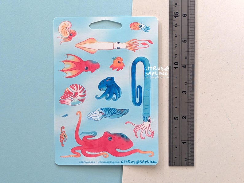 May include: A light blue sticker sheet featuring colorful illustrations of various cephalopods, including octopuses, squid, and nautiluses. The sticker sheet has a hole at the top for hanging and includes the text "cephalopods citrussapling.com CITRUS@SAPLING".