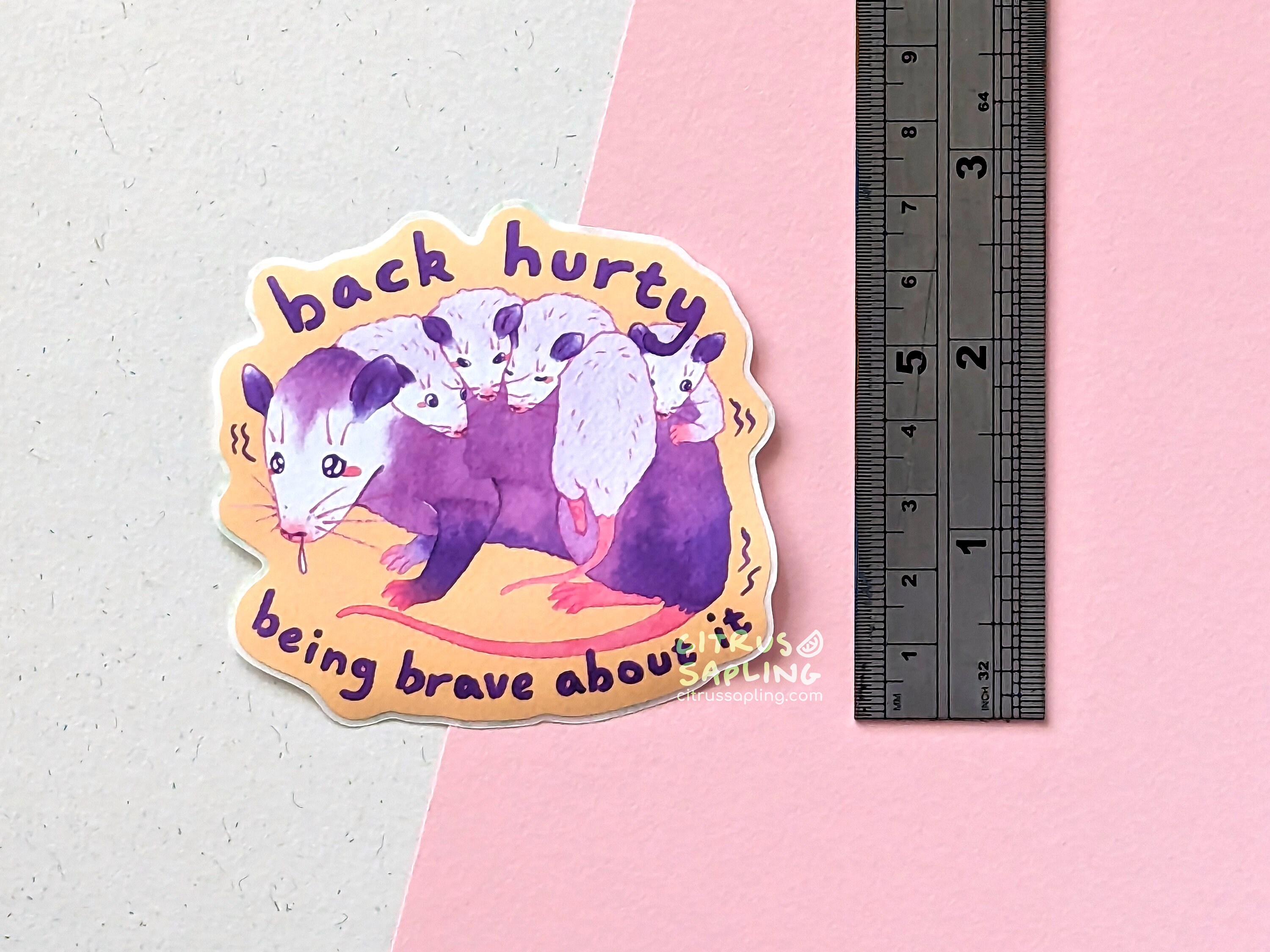 Back Hurty Opossum Sticker Matte Waterproof Vinyl | Notebook Laptop ...