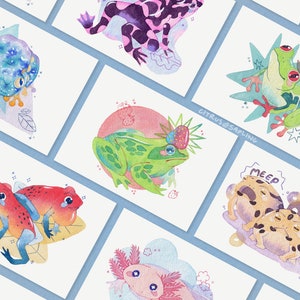 Postales de ranas, 8 diseños / Individuales o paquete de 4/8 / Impresiones artísticas pequeñas ilustradas A6 / Tarjetas para correo postal de 310 g/m²