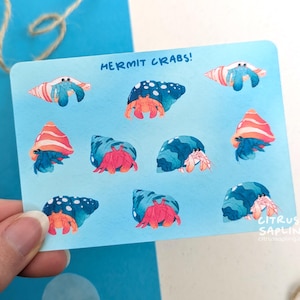 May include: A light blue card with illustrations of hermit crabs in various shells. The crabs have orange bodies and blue claws, with shells in shades of blue, orange, and white. The text "HERMIT CRABS!" is at the top.