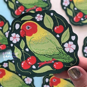 Puede incluir: Un agapornis verde y amarillo con la cabeza roja posado en una rama con flores blancas y cerezas rojas. El agapornis está rodeado de hojas verdes y el fondo es verde oscuro.