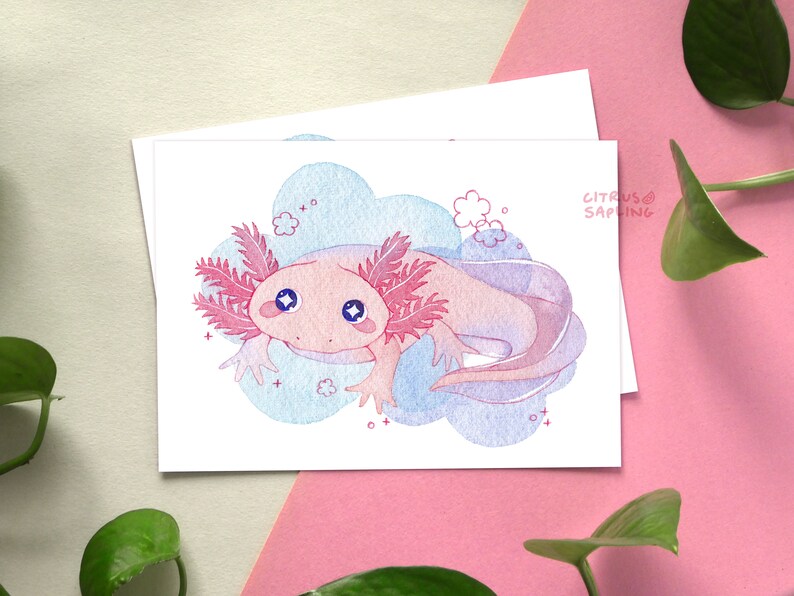 May include: A pink and blue watercolor illustration of an axolotl with large eyes, surrounded by clouds and flowers. The axolotl is swimming in a cloud-like shape. The illustration is signed "Citrus Sapling".