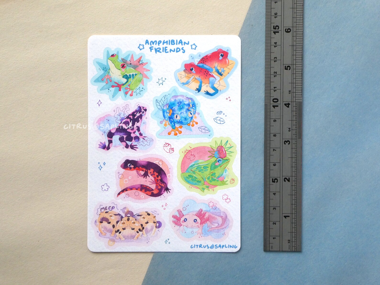 Frogs Sticker Sheet A6 Matte Waterproof Vinyl Amphibian | Etsy