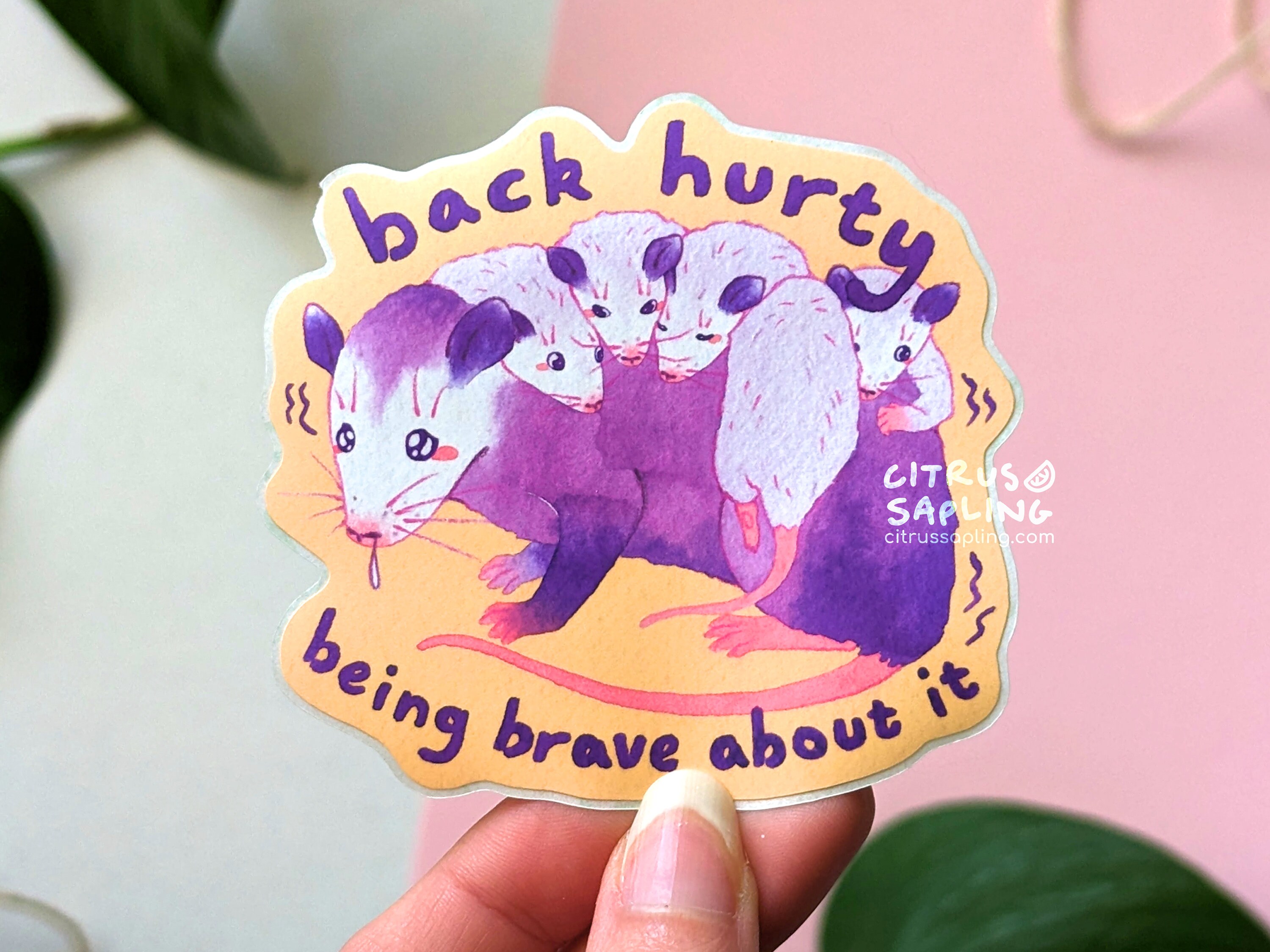 Back Hurty Opossum Sticker Matte Waterproof Vinyl | Notebook Laptop ...