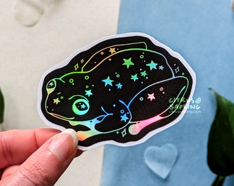 Starry Night Frog Holographic Sticker Waterproof Vinyl | Notebook, Laptop Stickers