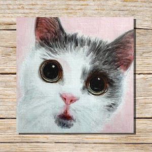 Cartão de gatinho, cartão de felicitações de gato cinza e branco, cartão de gato, cartão de felicitações, em branco por dentro, gato engraçado, cartão de gatinho fofo, cartão de gato personalizado, cartões