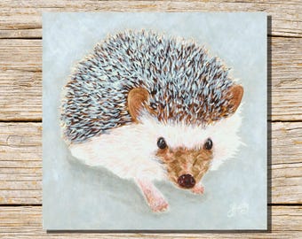 Afrikanischer Pygmäen Igel Grußkarte