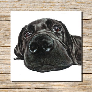 Tarjeta de labrador negro, tarjeta de felicitación de cachorro retriever, tarjeta de perro, tarjeta de felicitación, interior en blanco, cachorro de labrador, tarjeta de perro, tarjeta de perro personalizada